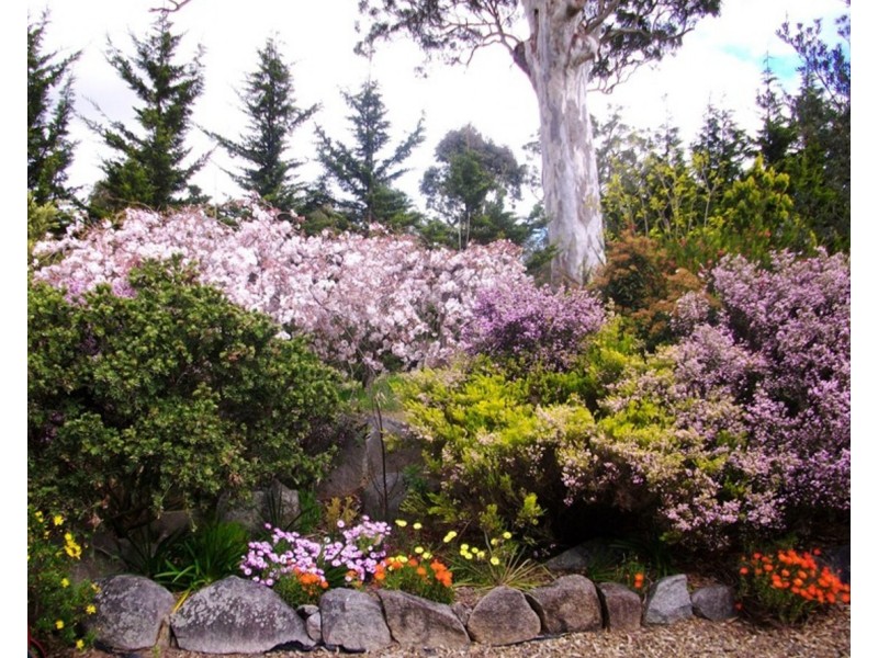 55 Corridgeree Road, Tarraganda NSW 2550