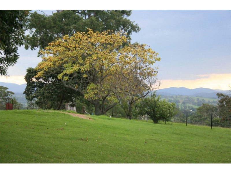 1358 Tarraganda Lane, Bega NSW 2550