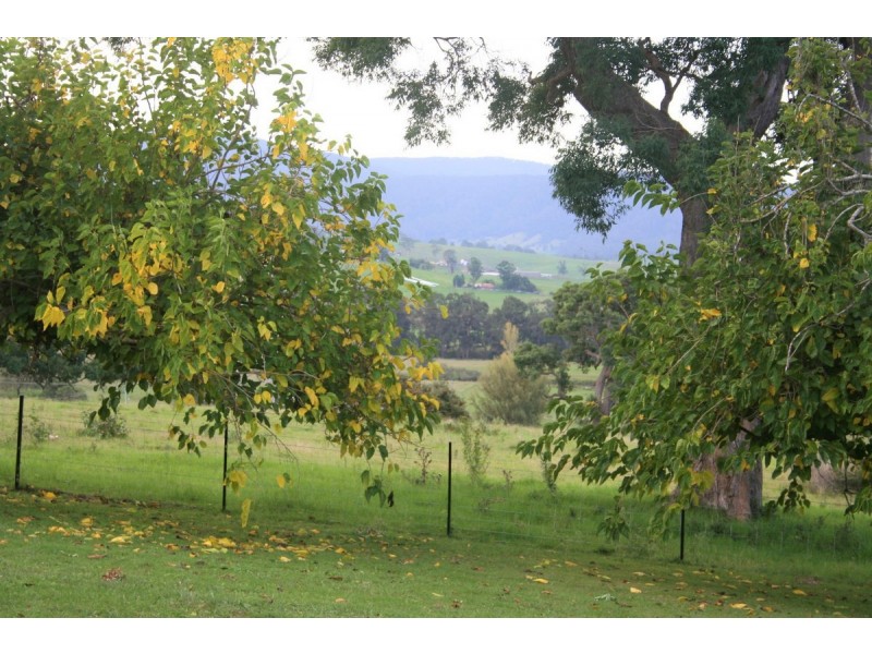 1358 Tarraganda Lane, Bega NSW 2550