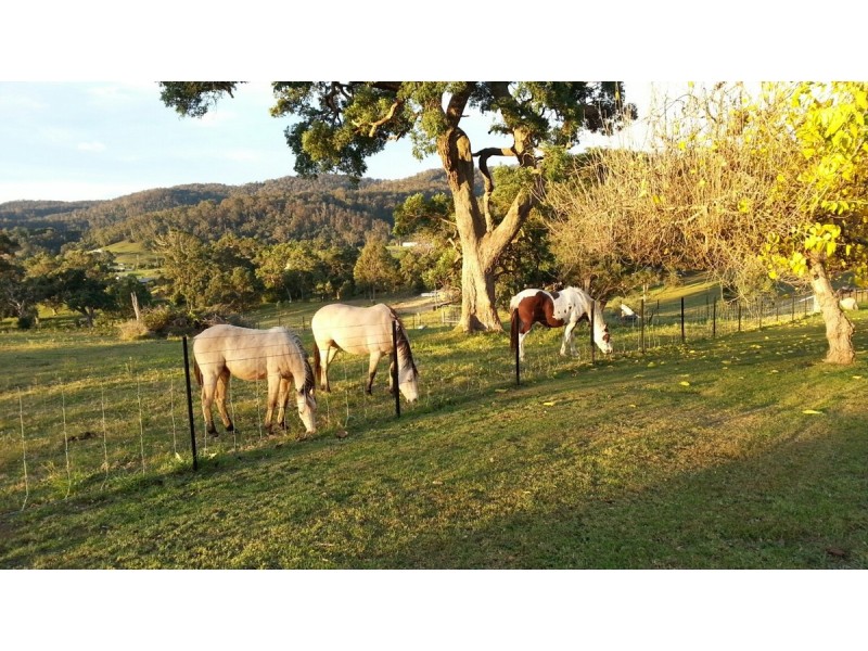 1358 Tarraganda Lane, Bega NSW 2550