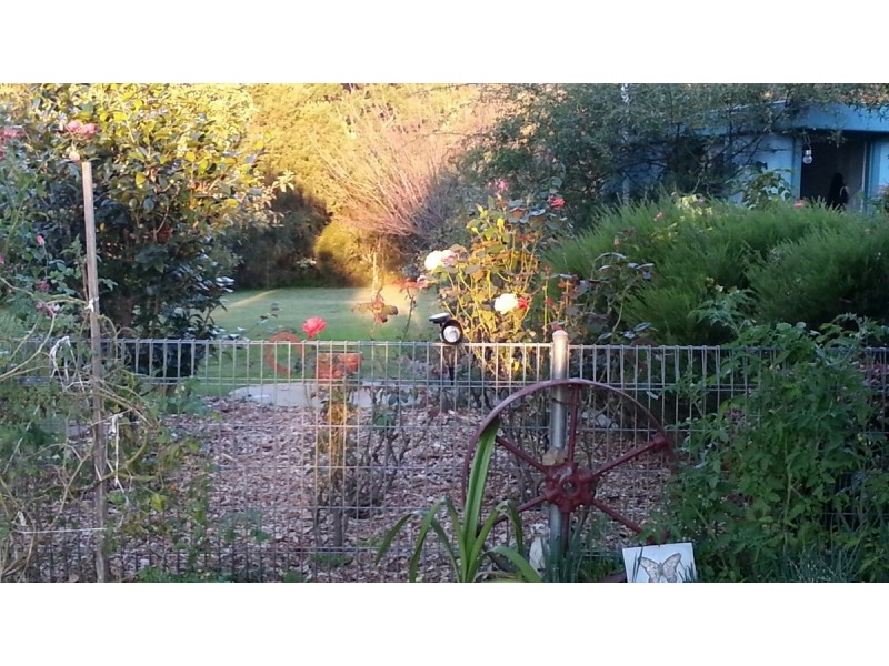 1358 Tarraganda Lane, Bega NSW 2550