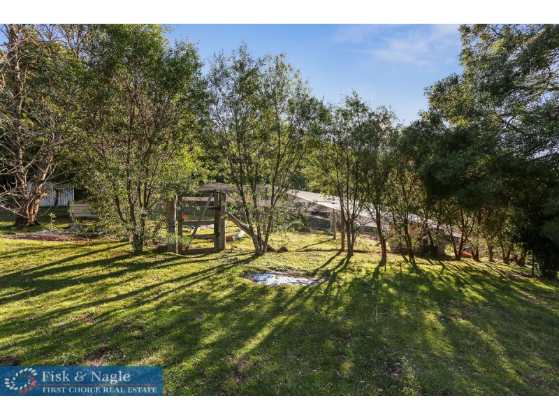 88 Grey Myrtle Lane, Myrtle Mountain NSW 2550