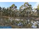 88 Grey Myrtle Lane, Myrtle Mountain NSW 2550