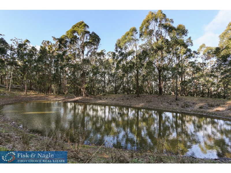88 Grey Myrtle Lane, Myrtle Mountain NSW 2550