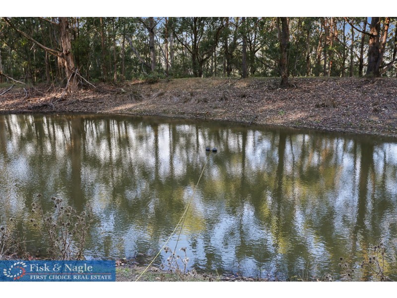 88 Grey Myrtle Lane, Myrtle Mountain NSW 2550