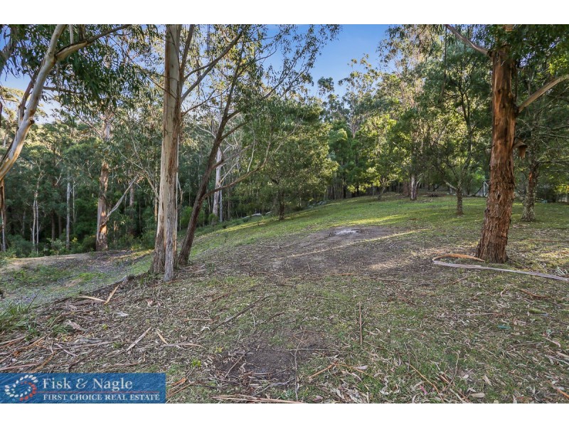 88 Grey Myrtle Lane, Myrtle Mountain NSW 2550
