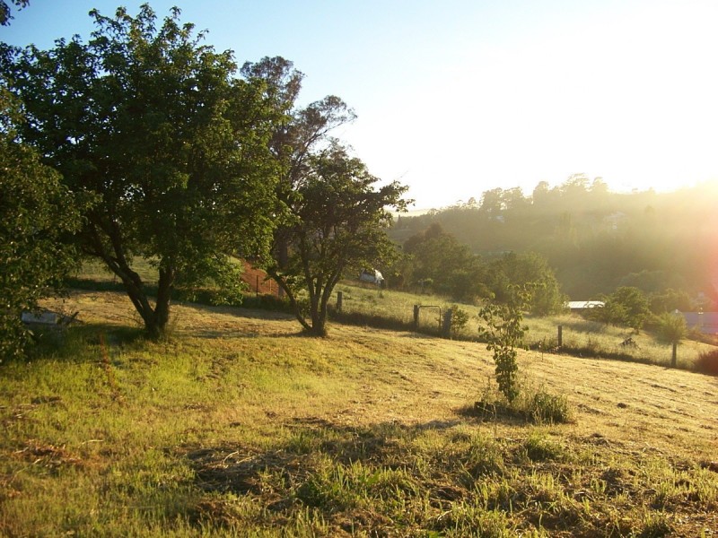 14 Candelo Street, Candelo NSW 2550