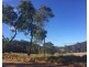 Lot 1 Warrigal Range Road, Brogo NSW 2550