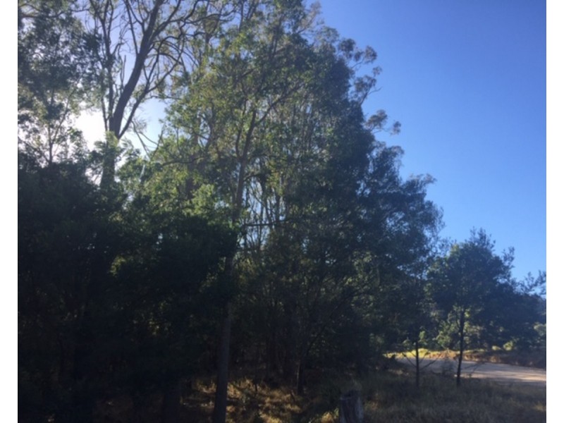 Lot 1 Warrigal Range Road, Brogo NSW 2550