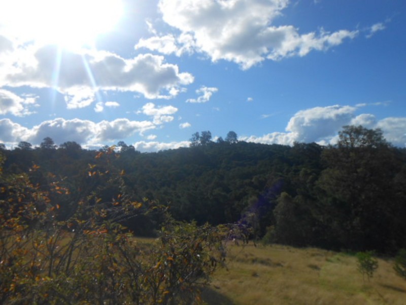 229 Stockridge Road, Brogo NSW 2550