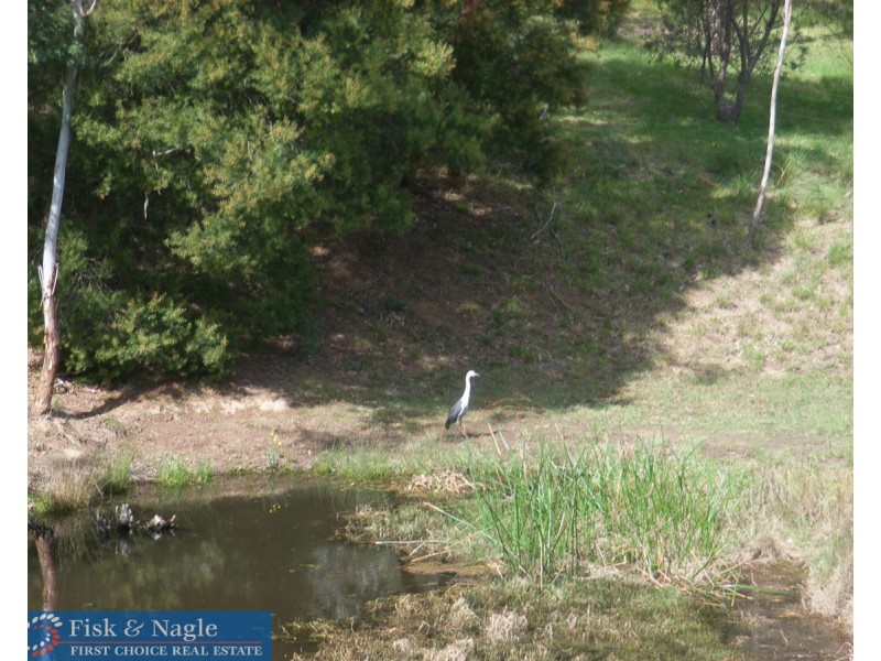 27 – 33 Bega Street, Quaama NSW 2550