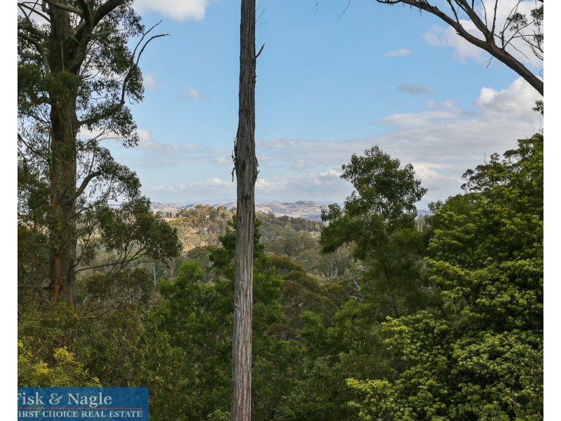 Lot 10,  Dorrigo Road, Brogo NSW 2550
