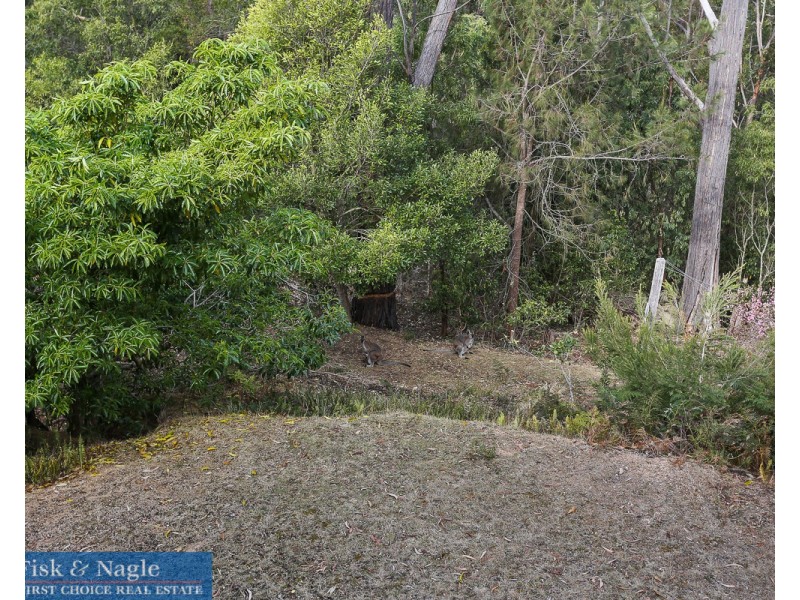 Lot 10,  Dorrigo Road, Brogo NSW 2550