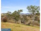 1335 Candelo Bega Road, Candelo NSW 2550