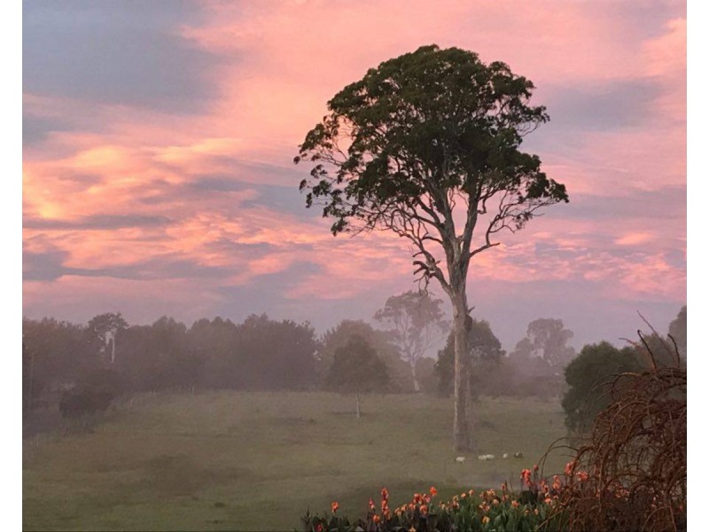 102 Corridgeree Road, Tarraganda NSW 2550