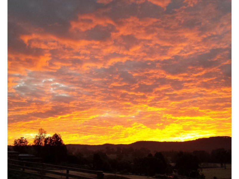 102 Corridgeree Road, Tarraganda NSW 2550