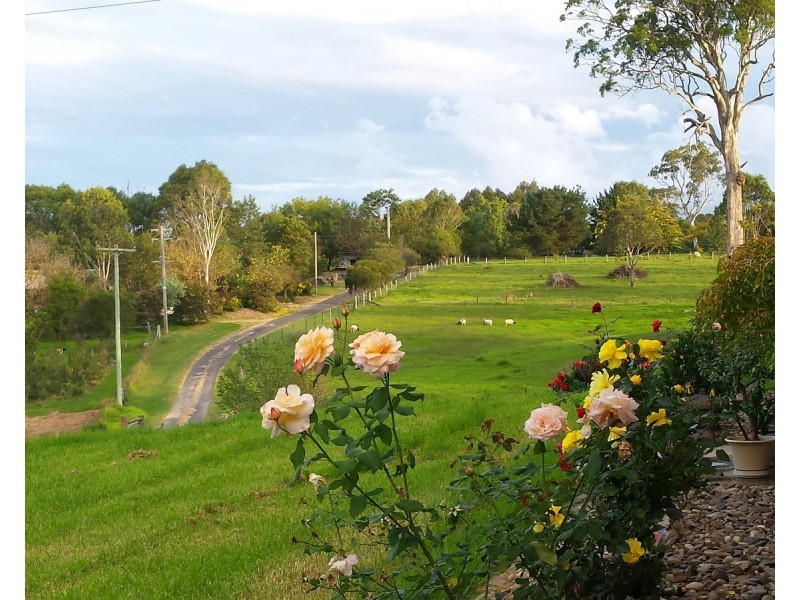 102 Corridgeree Road, Tarraganda NSW 2550