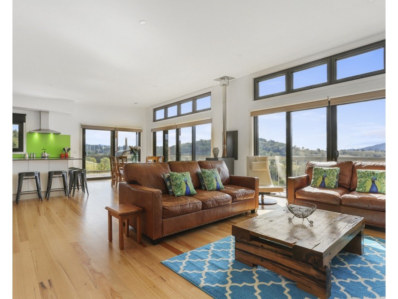 164 Mt Pleasant Road, Coopers Gully NSW 2550