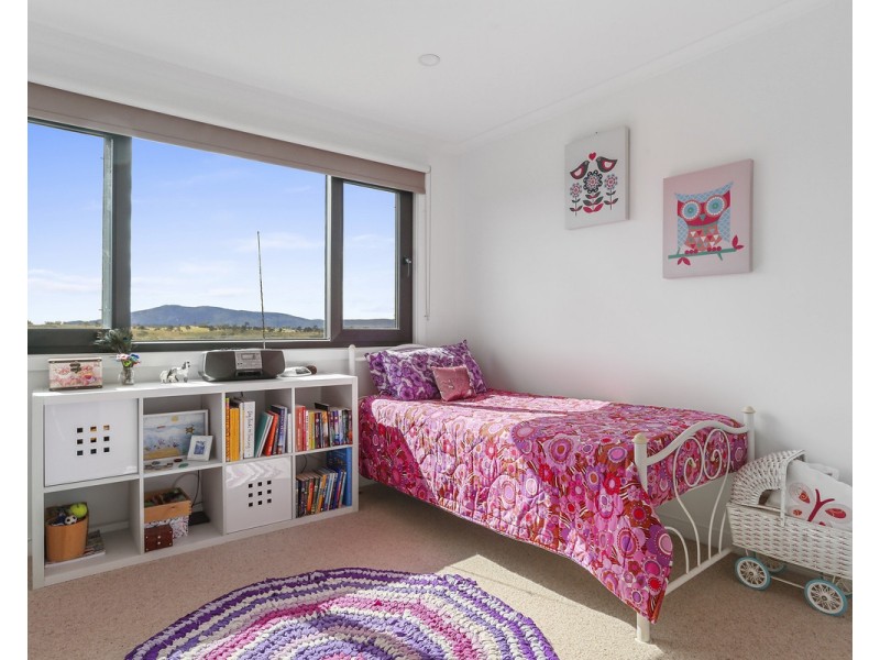 164 Mt Pleasant Road, Coopers Gully NSW 2550