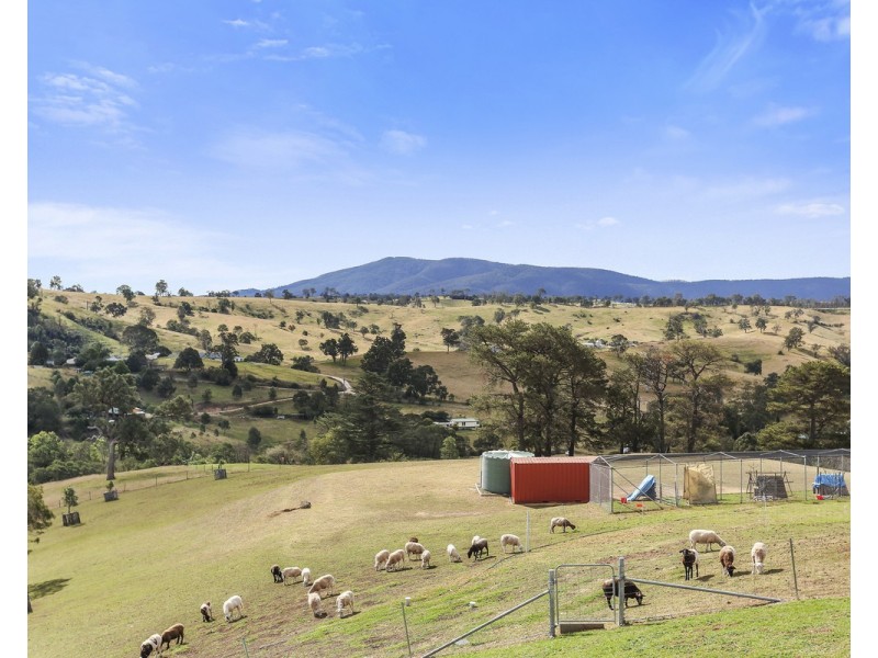 164 Mt Pleasant Road, Coopers Gully NSW 2550