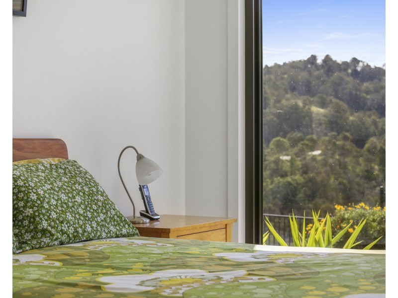 164 Mt Pleasant Road, Coopers Gully NSW 2550