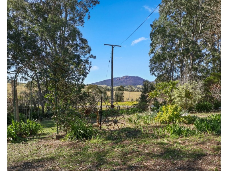 Brogo NSW 2550
