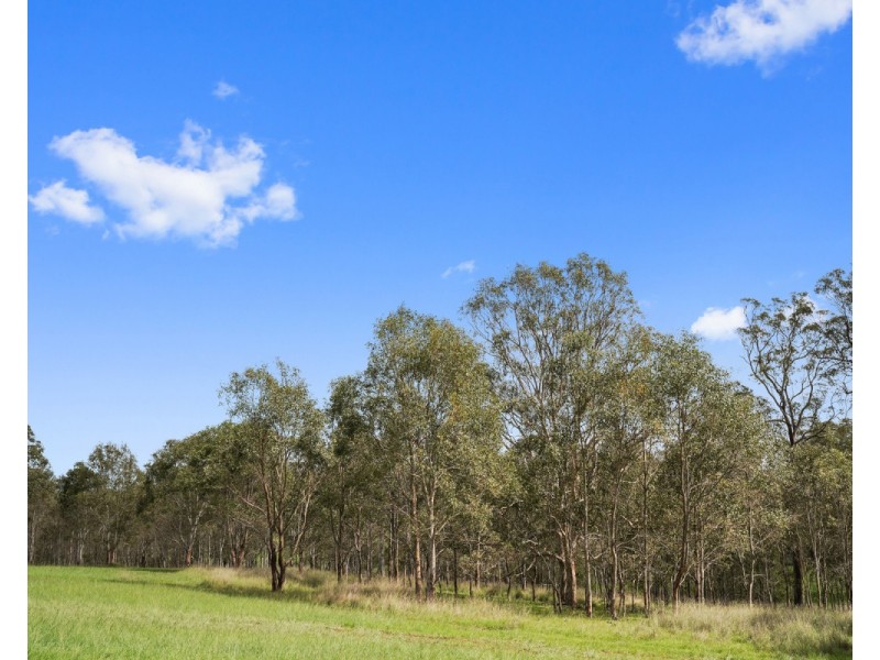647 Candelo Wolumla Road, Candelo NSW 2550