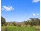 647 Candelo Wolumla Road, Candelo NSW 2550