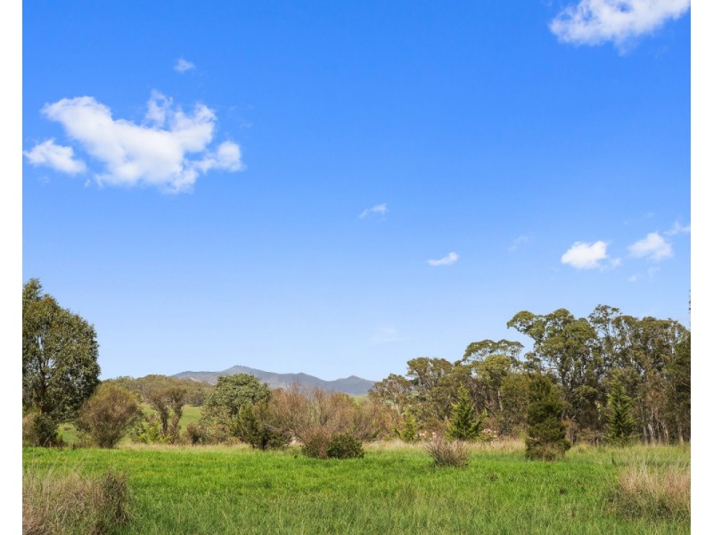 647 Candelo Wolumla Road, Candelo NSW 2550
