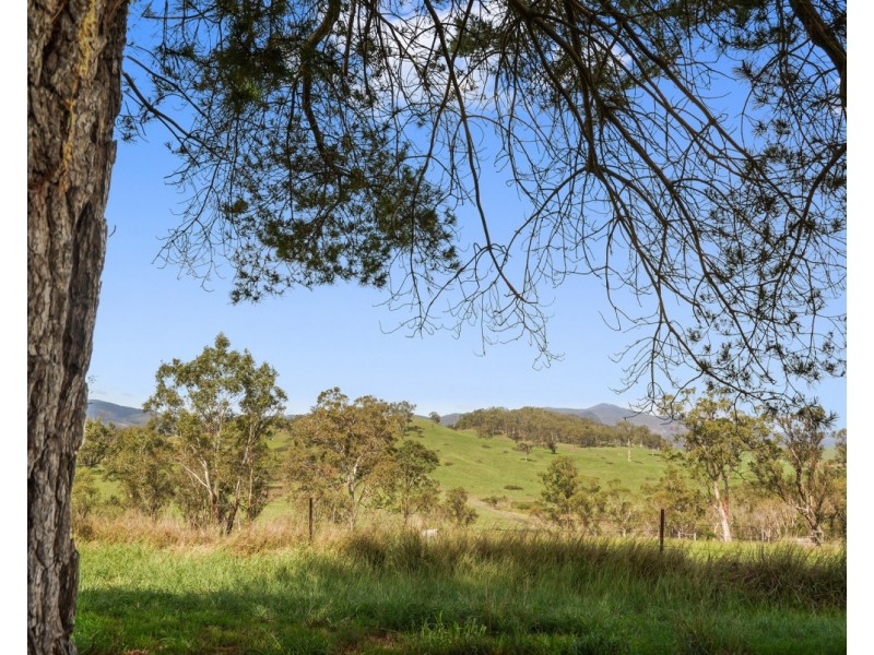 647 Candelo Wolumla Road, Candelo NSW 2550