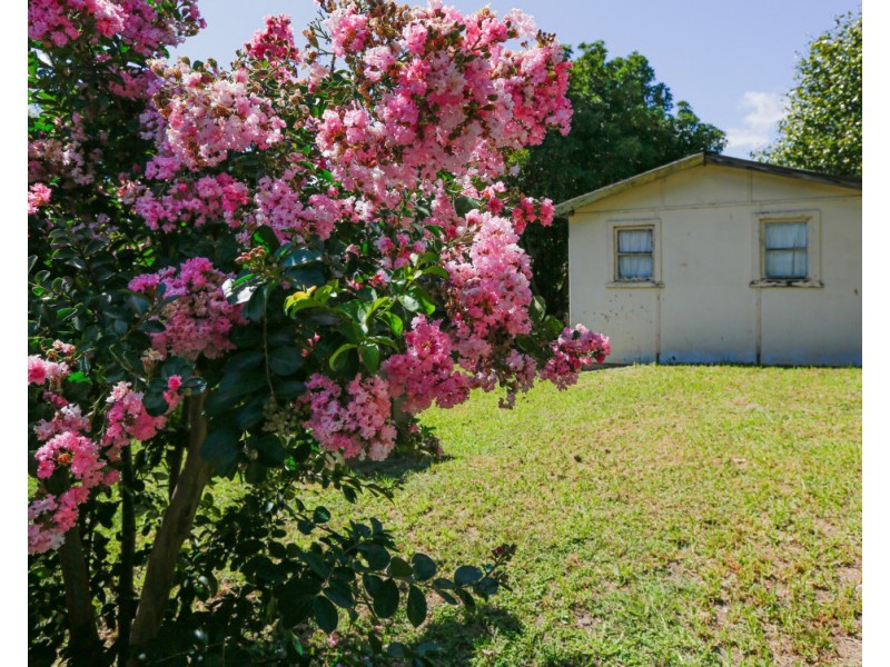 49 Eden Street, Bega NSW 2550