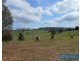 13 Snowy Mountains Highway, Bega NSW 2550