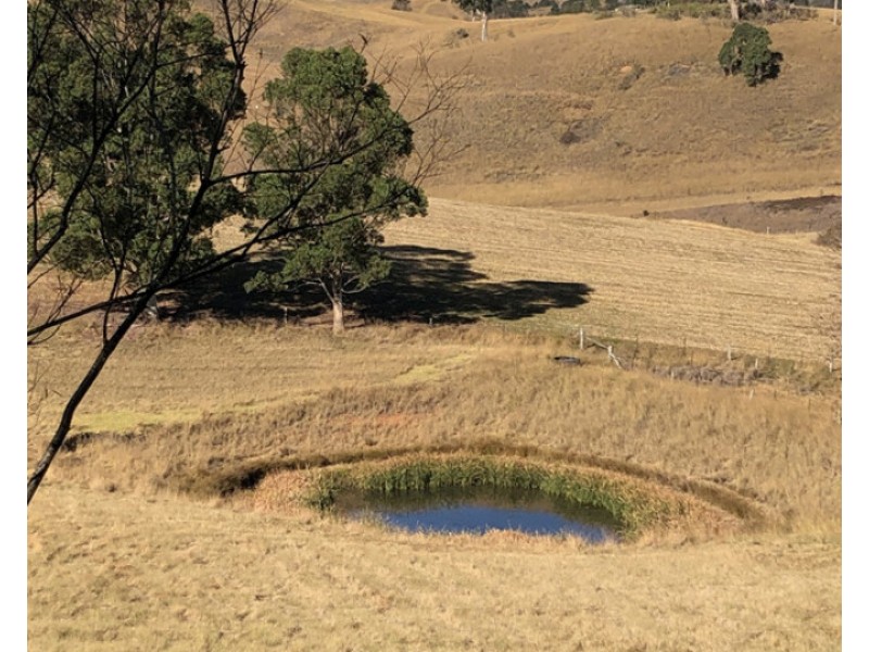 272 Pike Lane, Candelo NSW 2550