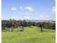 984 Furners Road, Mogilla NSW 2550
