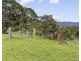 984 Furners Road, Mogilla NSW 2550