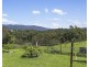 984 Furners Road, Mogilla NSW 2550