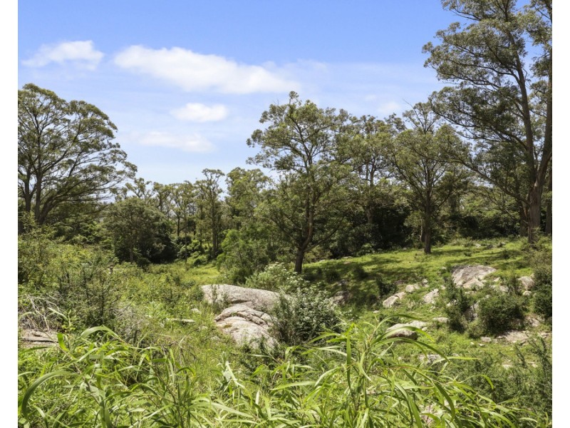 207 Buckleys Road, Bemboka NSW 2550