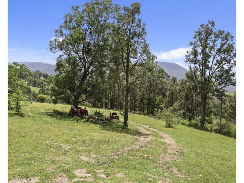 207 Buckleys Road, Bemboka NSW 2550
