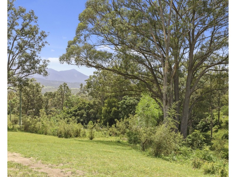 207 Buckleys Road, Bemboka NSW 2550