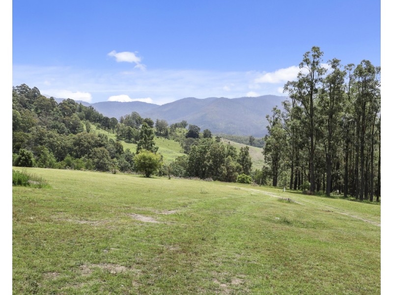 207 Buckleys Road, Bemboka NSW 2550