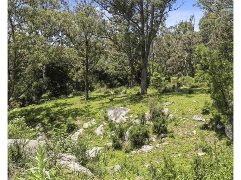 207 Buckleys Road, Bemboka NSW 2550