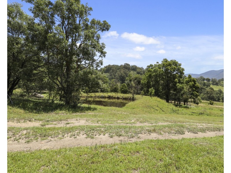 207 Buckleys Road, Bemboka NSW 2550