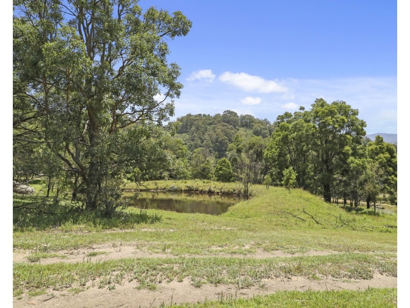 207 Buckleys Road, Bemboka NSW 2550