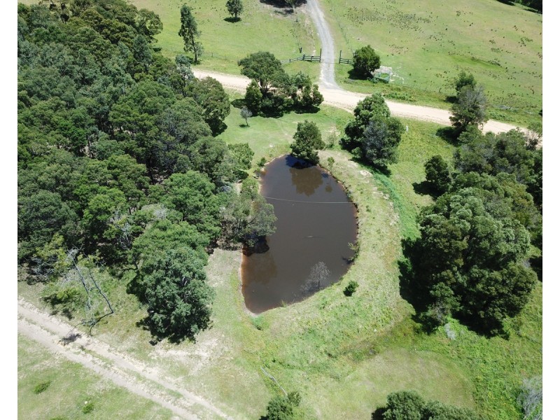 207 Buckleys Road, Bemboka NSW 2550