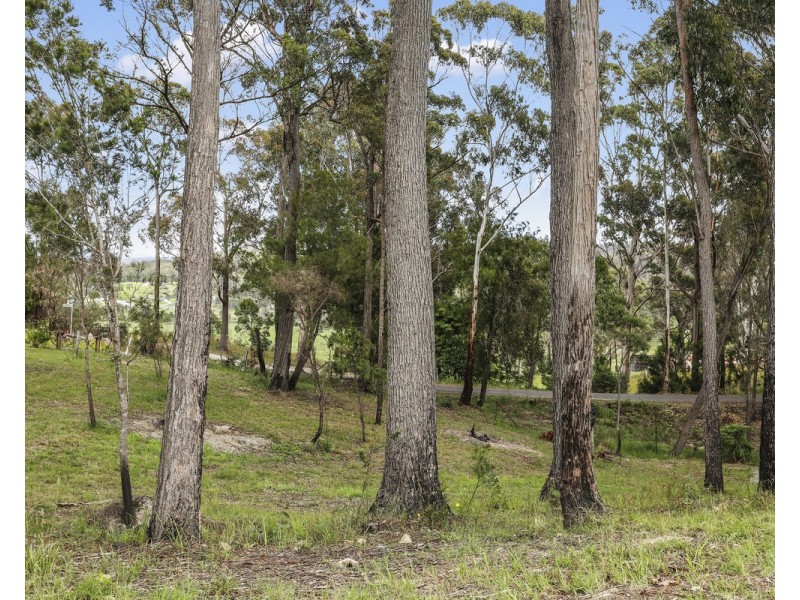 4 Settlers Road, Greigs Flat NSW 2549