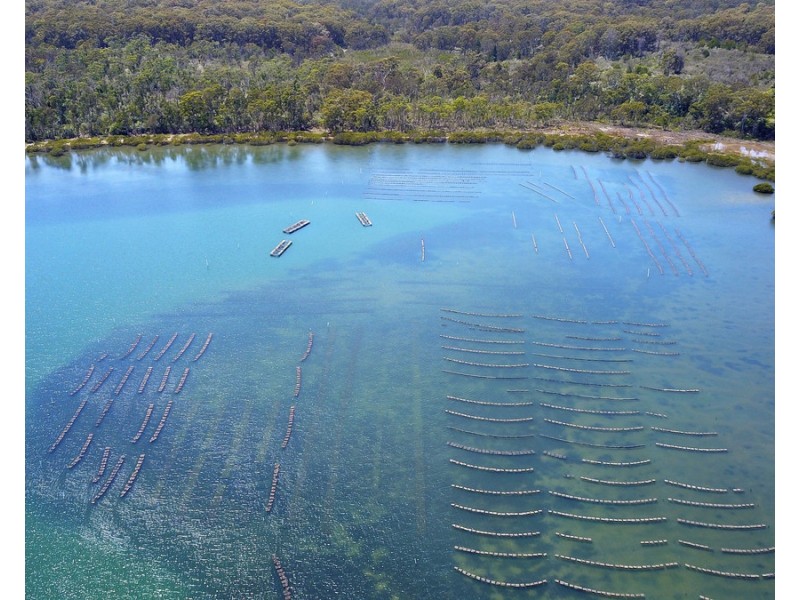 4 Settlers Road, Greigs Flat NSW 2549