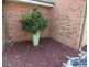 1/28 Carp Street, Bega NSW 2550