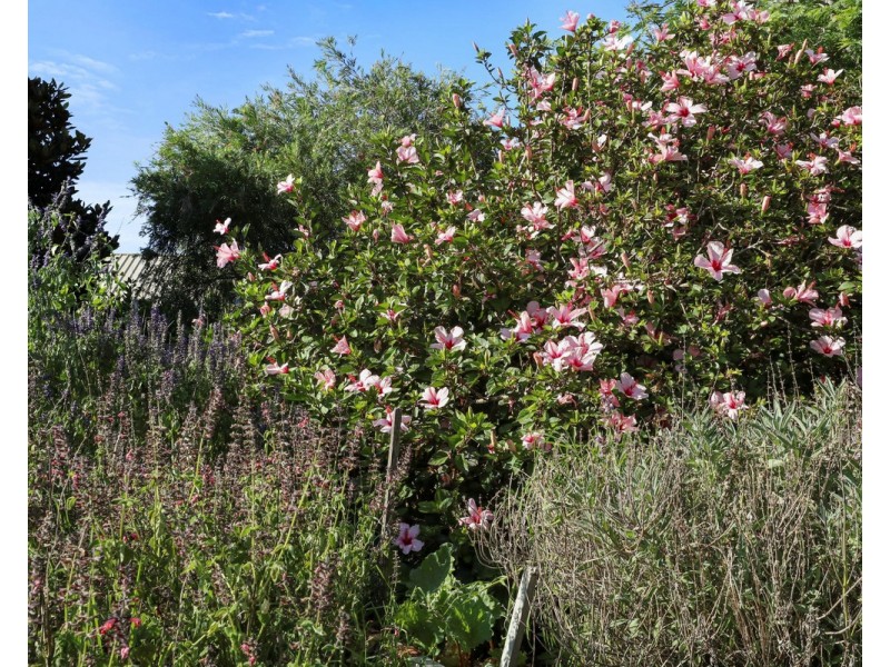 8 Waratah Court, Tura Beach NSW 2548