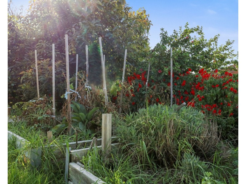 8 Waratah Court, Tura Beach NSW 2548