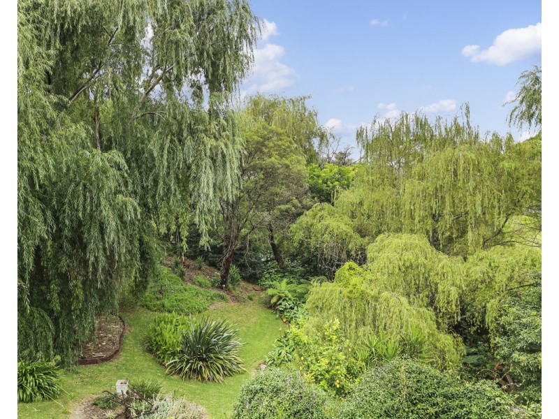 8 Bellbird Court, Wolumla NSW 2550